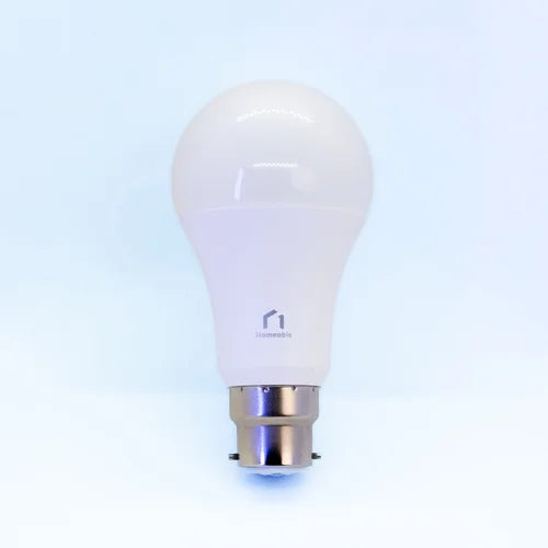 Homeable Smart Globe- B22/E27/E14