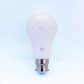 Homeable Smart Globe- B22/E27/E14
