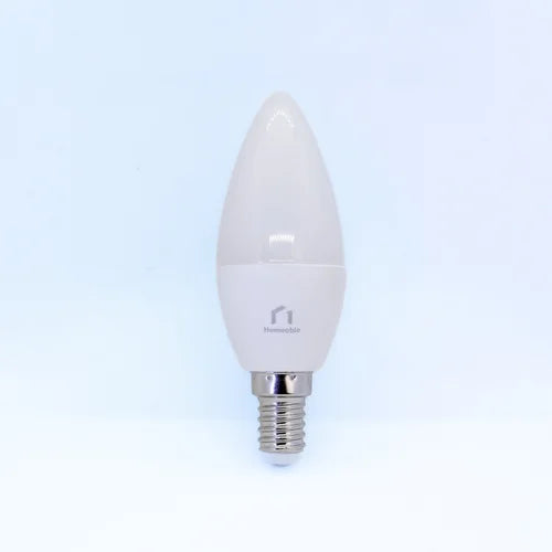 Homeable Smart Globe- B22/E27/E14